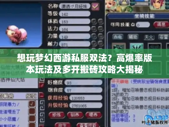 想玩梦幻西游私服双法？高爆率版本玩法及多开搬砖攻略大揭秘