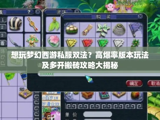 想玩梦幻西游私服双法？高爆率版本玩法及多开搬砖攻略大揭秘