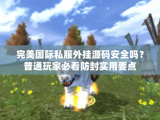 完美国际私服外挂源码安全吗？普通玩家必看防封实用要点