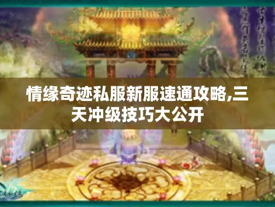 情缘奇迹私服新服速通攻略,三天冲级技巧大公开 情缘奇迹私服新服速通攻略,三天冲级技巧大公开