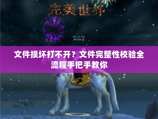 文件损坏打不开？文件完整性校验全流程手把手教你