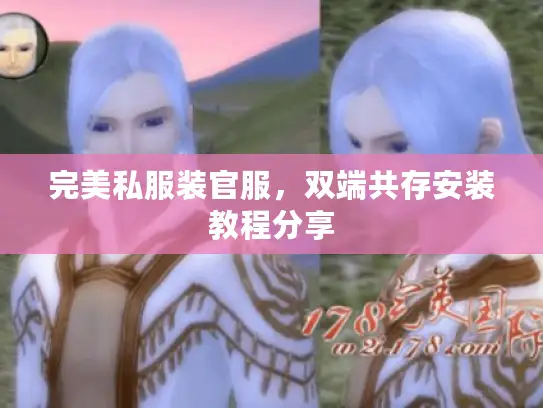 完美私服装官服，双端共存安装教程分享