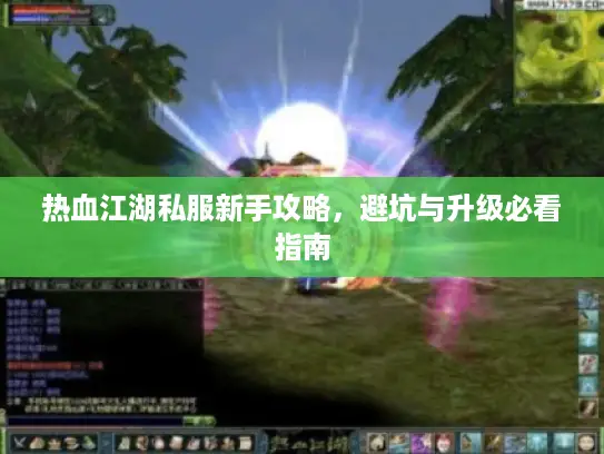 热血江湖私服新手攻略，避坑与升级必看指南