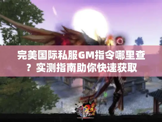 完美国际私服GM指令哪里查？实测指南助你快速获取