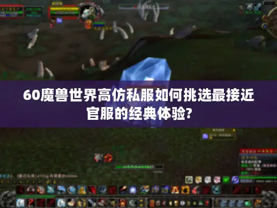 60魔兽世界高仿私服如何挑选最接近官服的经典体验?