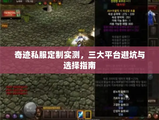 奇迹私服定制实测，三大平台避坑与选择指南