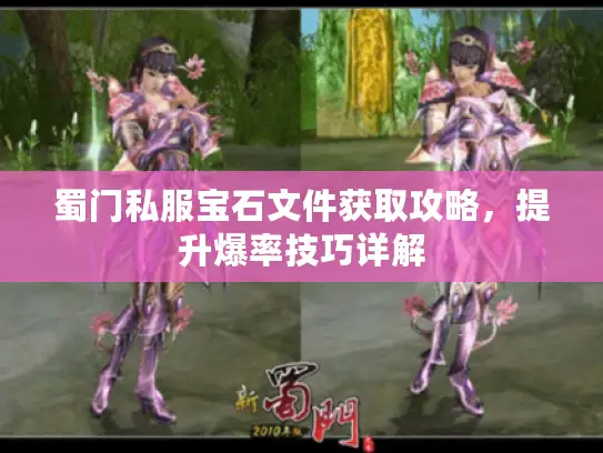 蜀门私服宝石文件获取攻略,提升爆率技巧详解 蜀门私服宝石文件获取攻略,提升爆率技巧详解