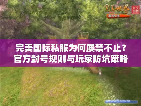 完美国际私服为何屡禁不止？官方封号规则与玩家防坑策略