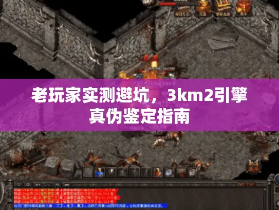 老玩家实测避坑，3km2引擎真伪鉴定指南
