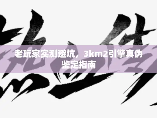 老玩家实测避坑，3km2引擎真伪鉴定指南