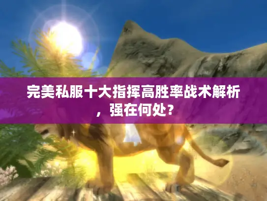 完美私服十大指挥高胜率战术解析，强在何处？