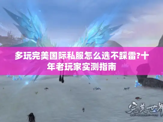 多玩完美国际私服怎么选不踩雷?十年老玩家实测指南
