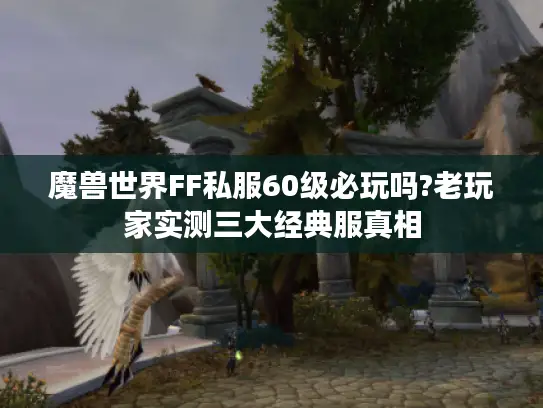 魔兽世界FF私服60级必玩吗?老玩家实测三大经典服真相