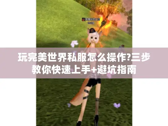 玩完美世界私服怎么操作?三步教你快速上手+避坑指南