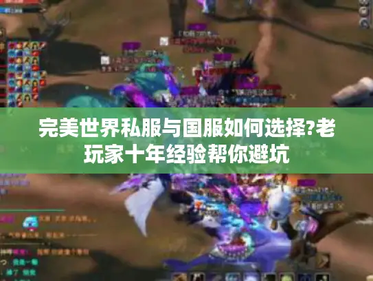 完美世界私服与国服如何选择?老玩家十年经验帮你避坑