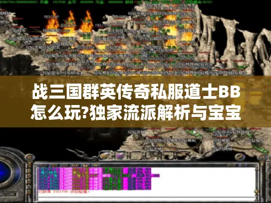 战三国群英传奇私服道士BB怎么玩?独家流派解析与宝宝培养指南