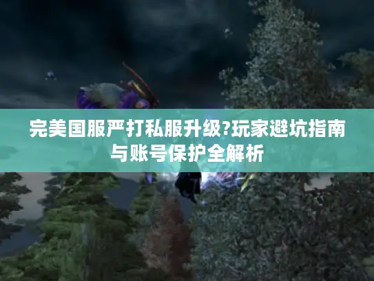 完美国服严打私服升级?玩家避坑指南与账号保护全解析 完美国服严打私服升级?玩家避坑指南与账号保护全解析