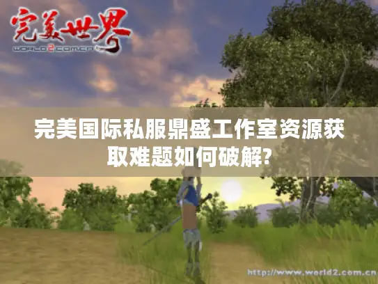 完美国际私服鼎盛工作室资源获取难题如何破解?