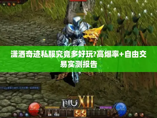 潇洒奇迹私服究竟多好玩?高爆率+自由交易实测报告 潇洒奇迹私服究竟多好玩?高爆率+自由交易实测报告