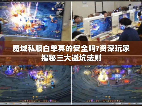 魔域私服白单真的安全吗?资深玩家揭秘三大避坑法则