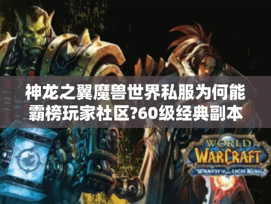 神龙之翼魔兽世界私服为何能霸榜玩家社区?60级经典副本实测解析