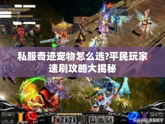 私服奇迹宠物怎么选?平民玩家速刷攻略大揭秘