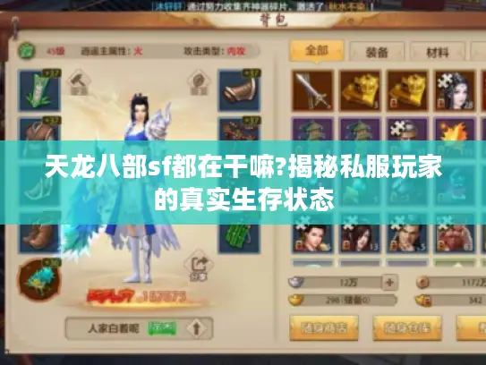 天龙八部sf都在干嘛?揭秘私服玩家的真实生存状态