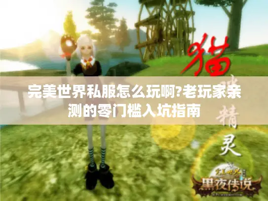完美世界私服怎么玩啊?老玩家亲测的零门槛入坑指南