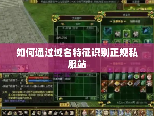如何通过域名特征识别正规私服站