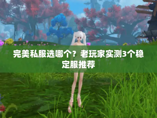 完美私服选哪个？老玩家实测3个稳定服推荐