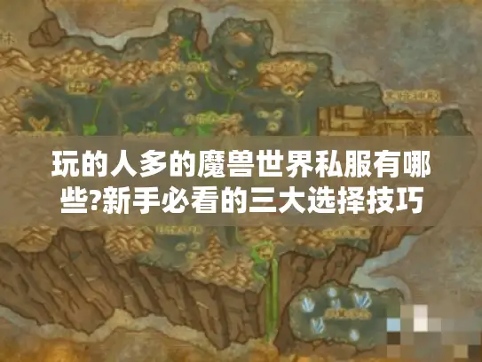 玩的人多的魔兽世界私服有哪些?新手必看的三大选择技巧