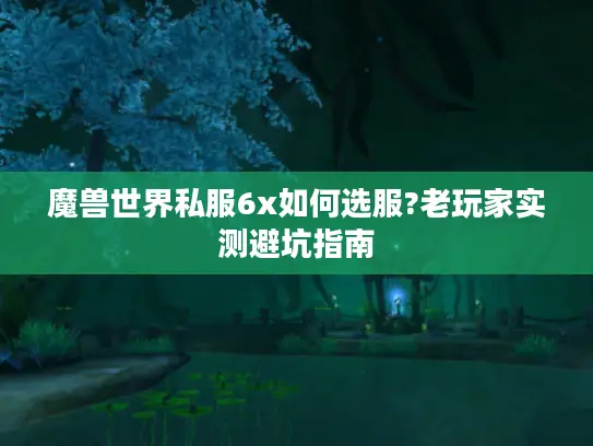 魔兽世界私服6x如何选服?老玩家实测避坑指南