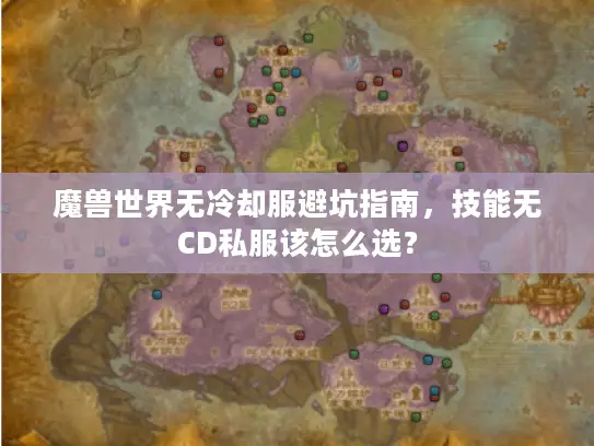 魔兽世界无冷却服避坑指南，技能无CD私服该怎么选？