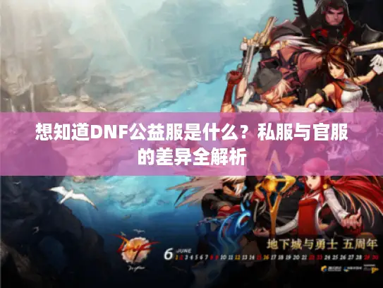 想知道DNF公益服是什么？私服与官服的差异全解析