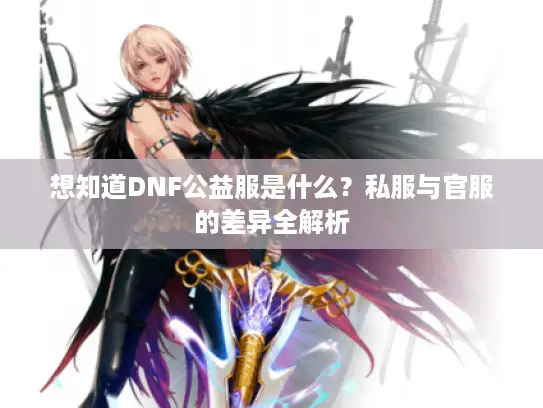 想知道DNF公益服是什么？私服与官服的差异全解析