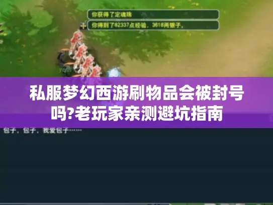 私服梦幻西游刷物品会被封号吗?老玩家亲测避坑指南