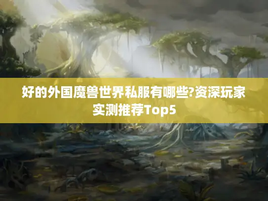 好的外国魔兽世界私服有哪些?资深玩家实测推荐Top5