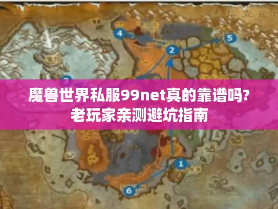 魔兽世界私服99net真的靠谱吗?老玩家亲测避坑指南