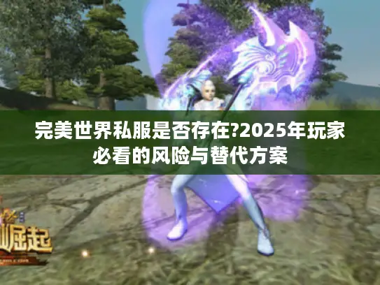 完美世界私服是否存在?2025年玩家必看的风险与替代方案