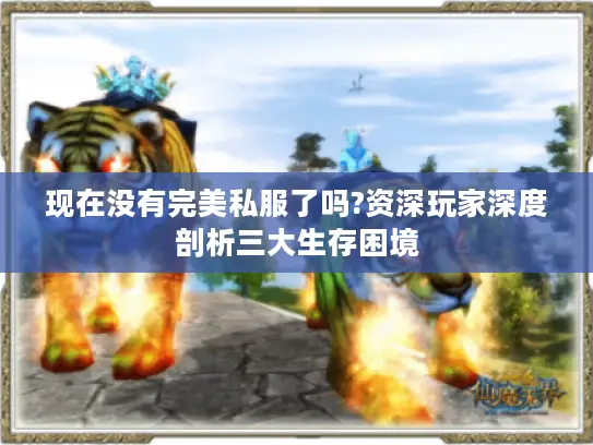 现在没有完美私服了吗?资深玩家深度剖析三大生存困境