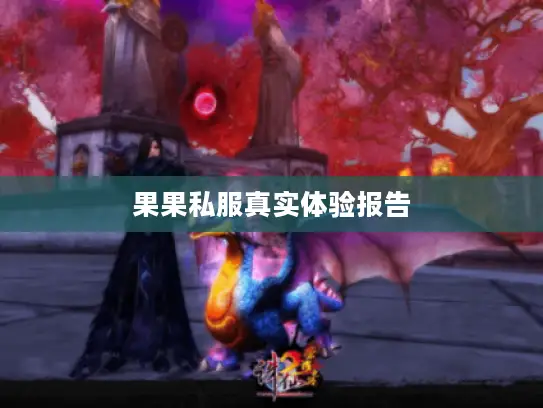 果果私服真实体验报告