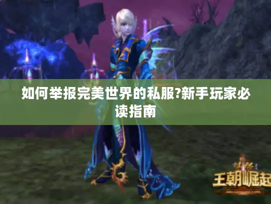 如何举报完美世界的私服?新手玩家必读指南
