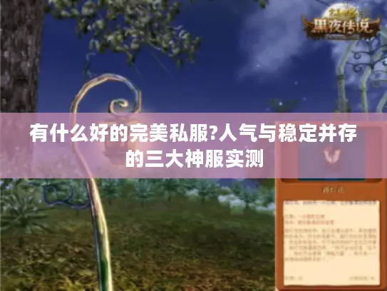 有什么好的完美私服?人气与稳定并存的三大神服实测 有什么好的完美私服?人气与稳定并存的三大神服实测