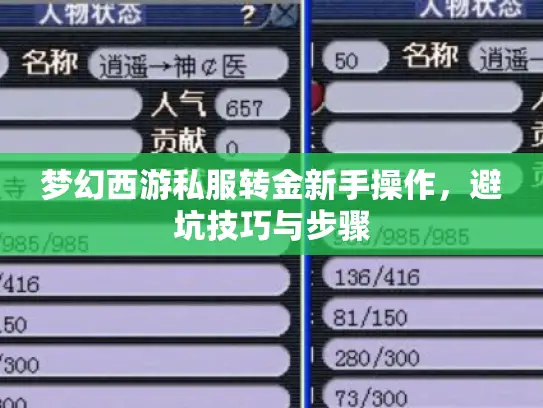 梦幻西游私服转金新手操作,避坑技巧与步骤 梦幻西游私服转金新手操作,避坑技巧与步骤