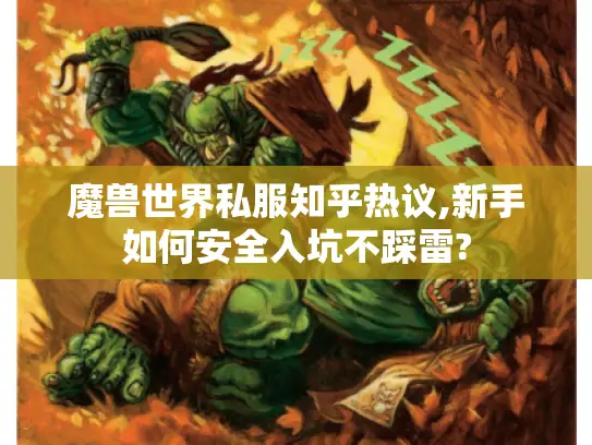 魔兽世界私服知乎热议,新手如何安全入坑不踩雷?