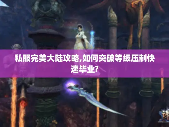 私服完美大陆攻略,如何突破等级压制快速毕业?