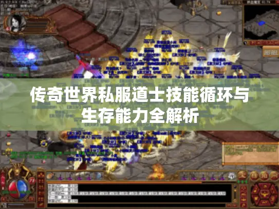 传奇世界私服道士技能循环与生存能力全解析