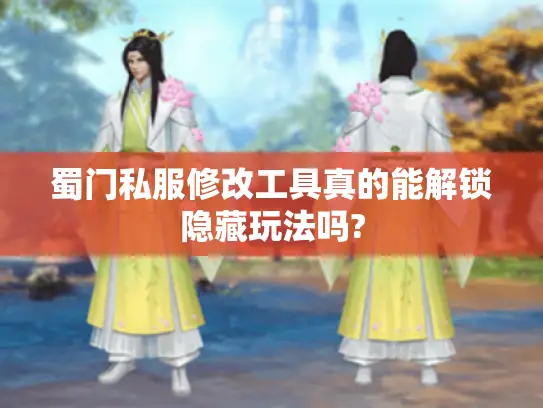 蜀门私服修改工具真的能解锁隐藏玩法吗?