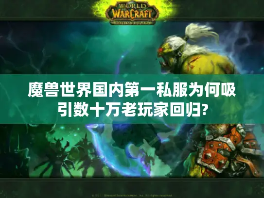 魔兽世界国内第一私服为何吸引数十万老玩家回归?