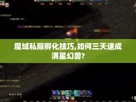 魔域私服孵化技巧,如何三天速成满星幻兽?